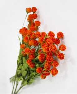 Buket Modelleri (19)